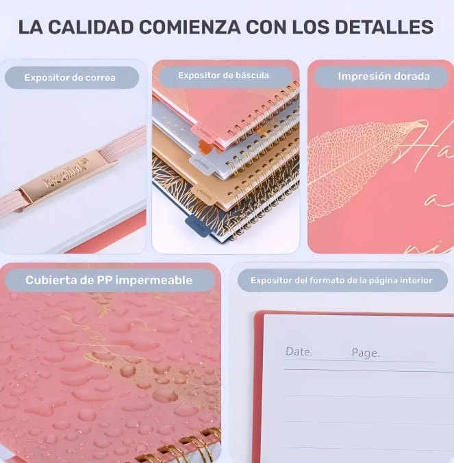 Luz de ideas A6